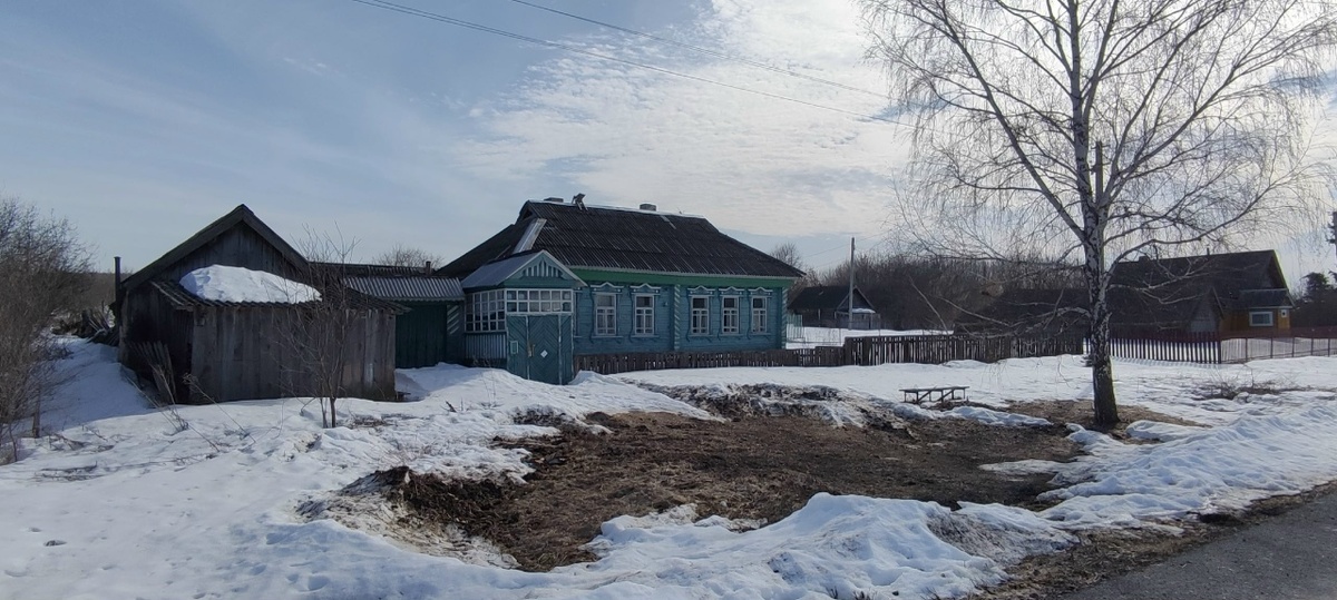 Проснулись клещи на проталинках Фото автора