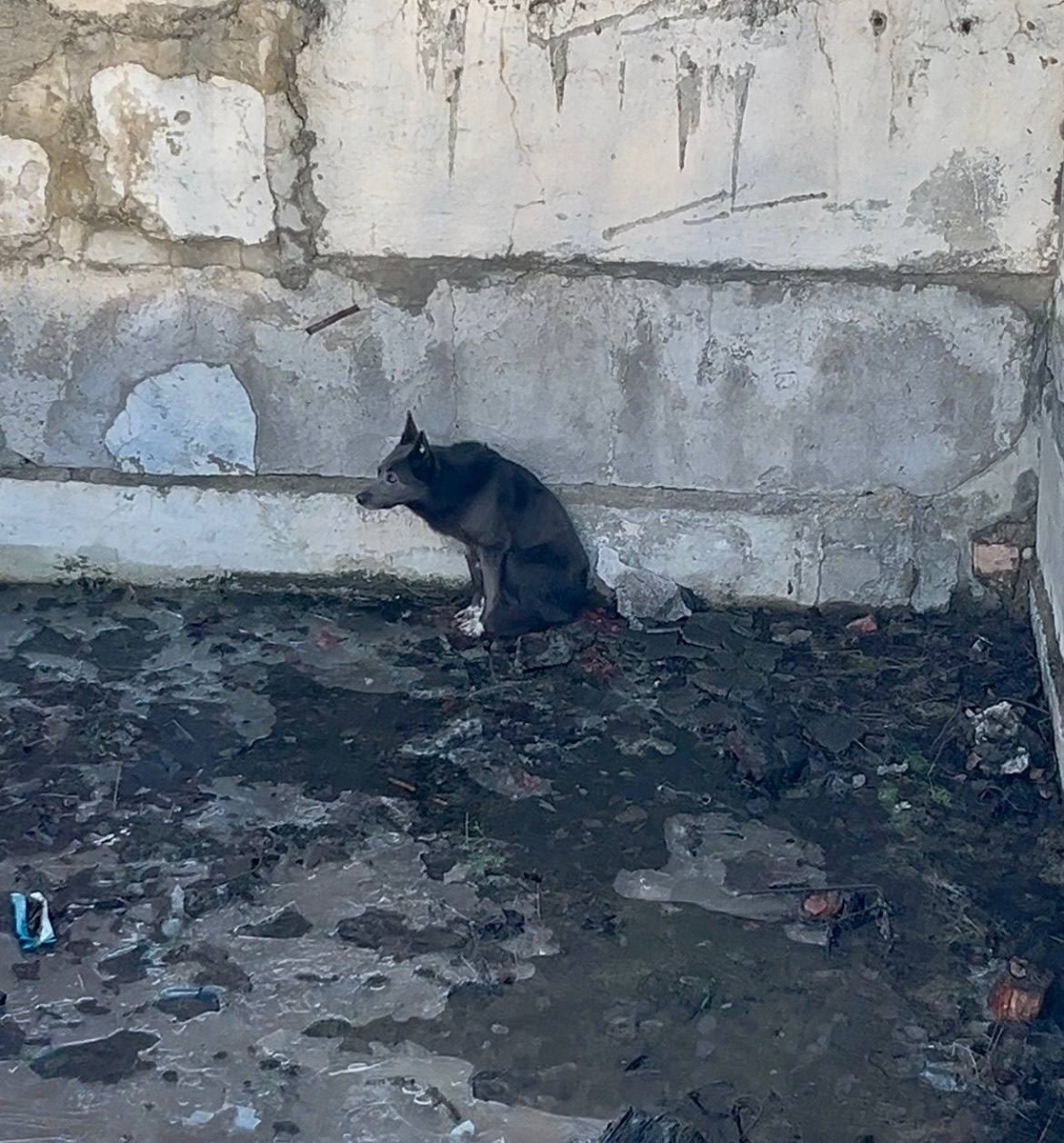    ГКУ РК «ОПС по Кемскому муниципальному округу» / VK