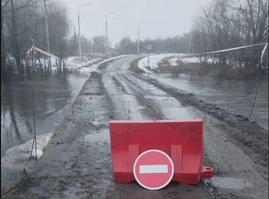    Фото: ГУ МЧС России по Орловской области