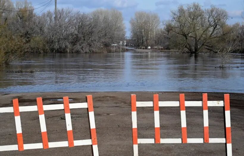     © РИА Новости. Максим Богодвид