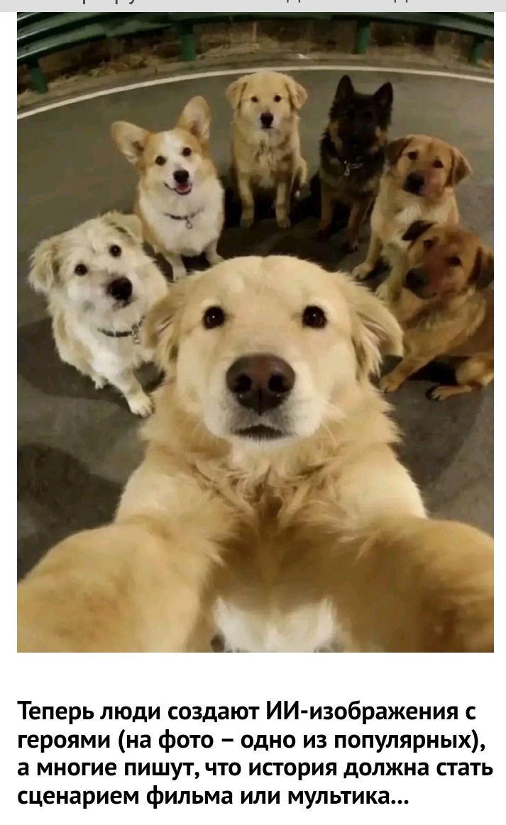 Из открытых источников