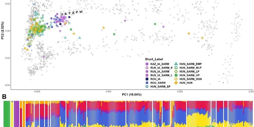 «Татары — это тюрки»: как палеогенетика разрушает мифы лже-экспертов