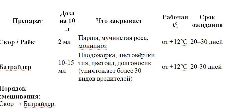 Таблица и фото Натальи Мироновой 