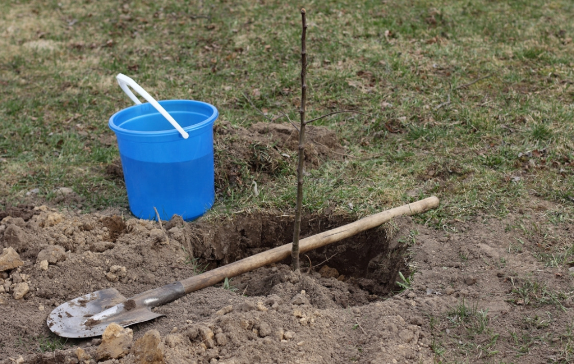 Отпимальная яма