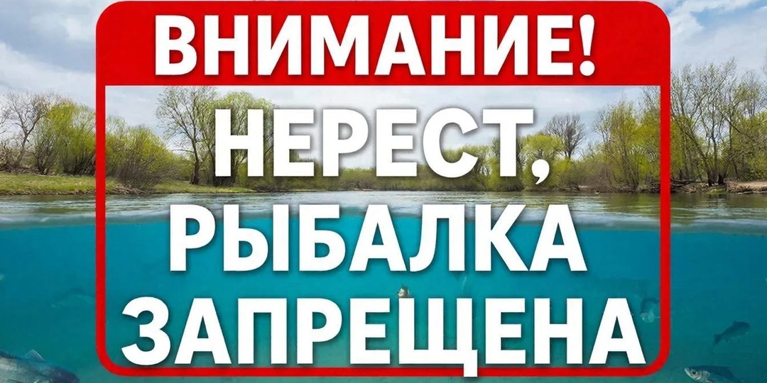 📝Нерестовый запрет. Сроки. Штрафы. Что нужно знать каждому рыболову?