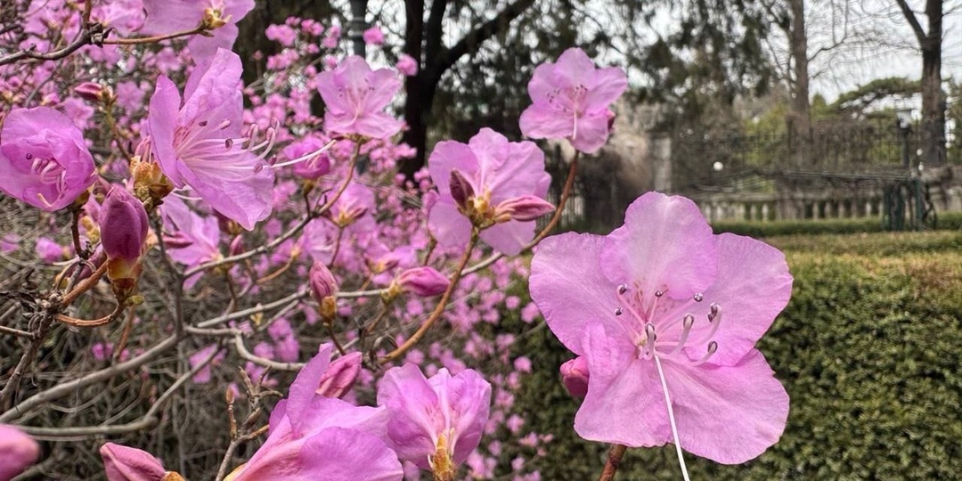 Создатель мой