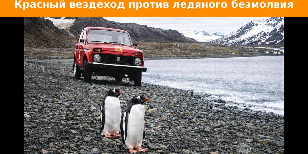 Нива, которая не сдалась Антарктиде