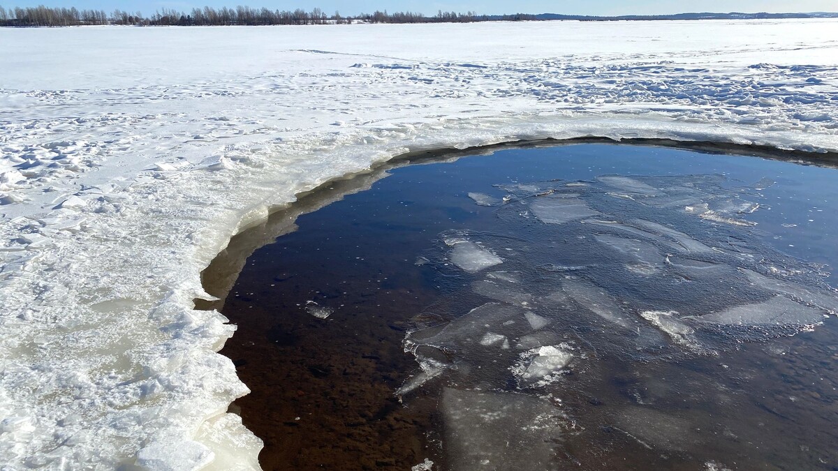    Фото: MarinaTrMarinaTr/Shutterstock/Fotodom