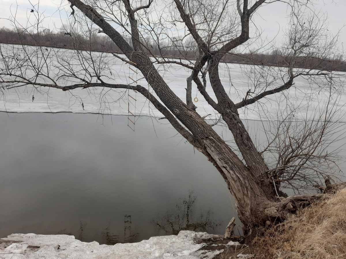 Река Чулым