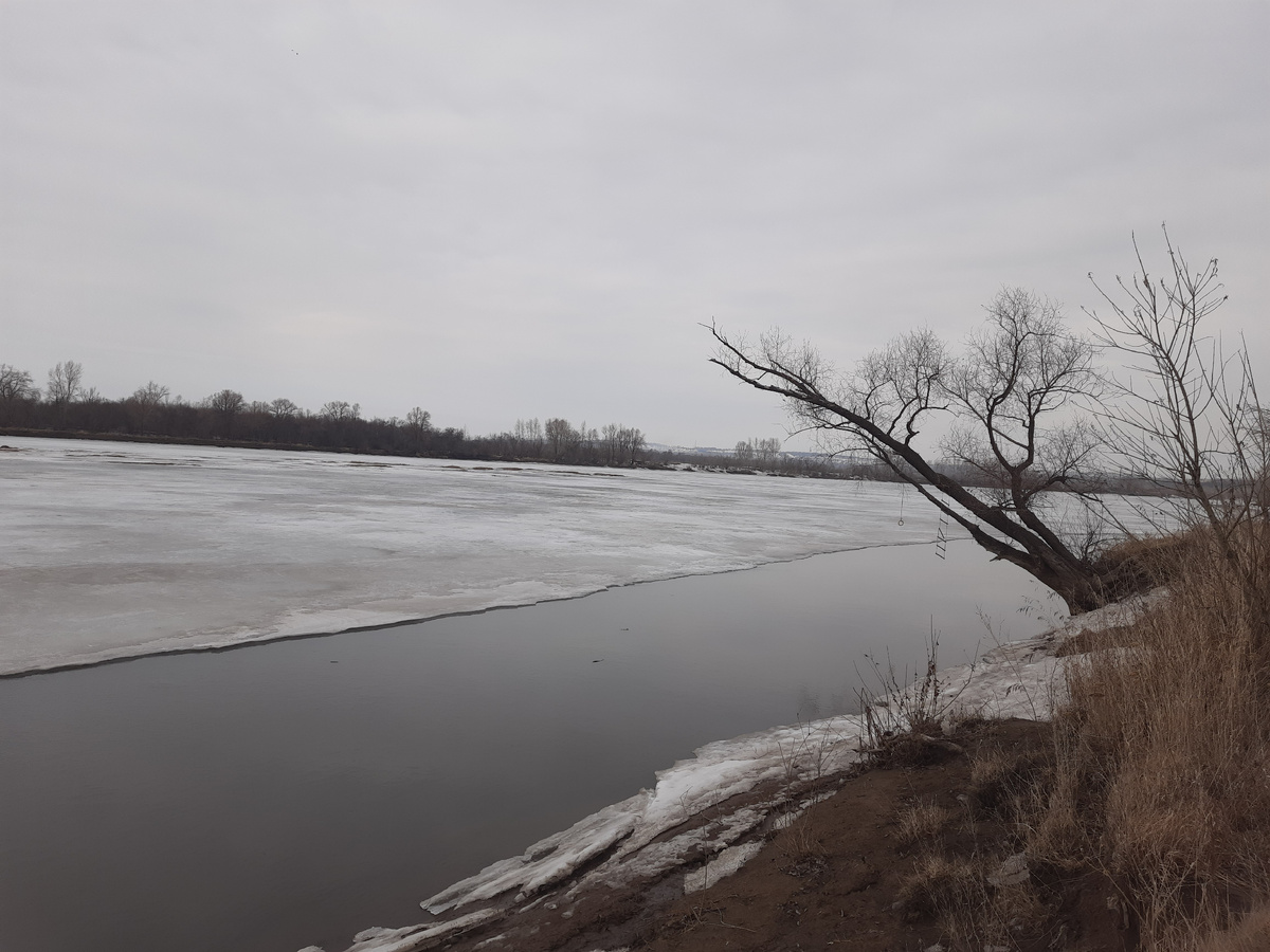 Река Чулым