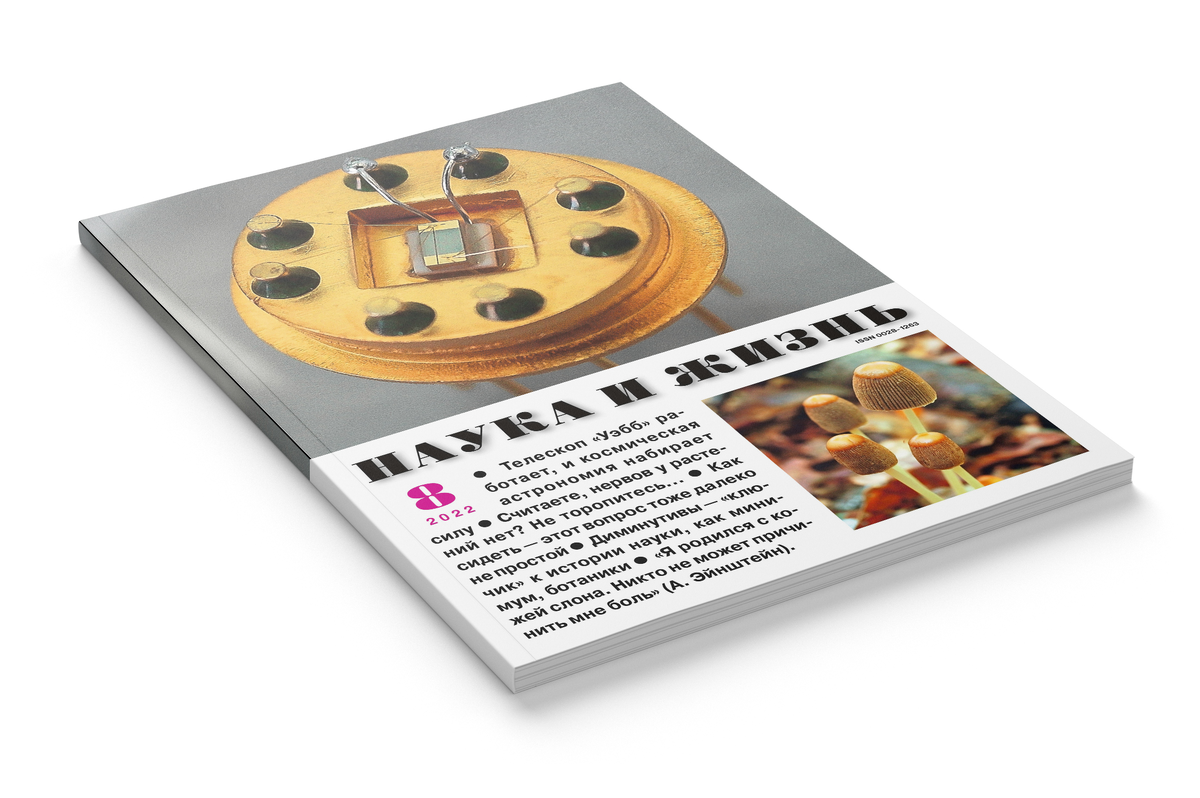 В беседе с Наталией Лесковой я рассказываю о жизни медведей нынешней многоснежной зимой и в целом, о некоторых особенностях этого удивительного, парадоксального зверя, издавна ставшего символом нашей страны.