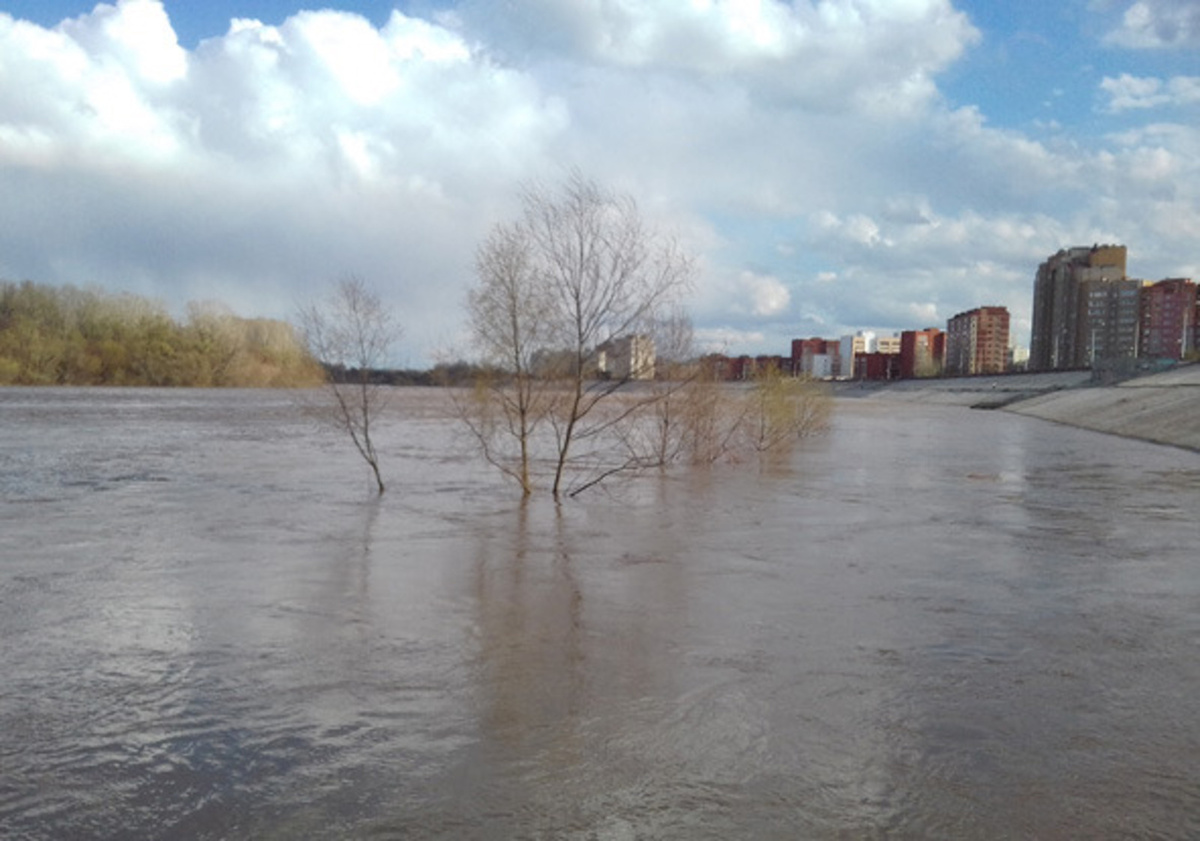     Хәл контрольдә тотыла