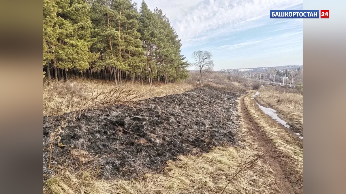    Река Уршак в Давлекановском районе Башкортостана поднялась более чем на 2 метра за сутки