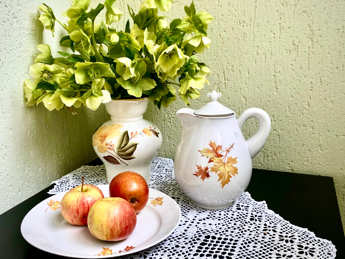 Морозники- цветы ранней весны