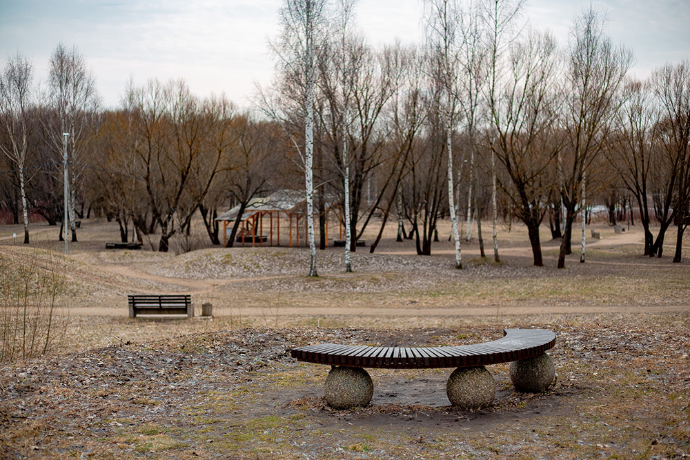 Погода в Твери 30 марта. Мягкий свет и тепло