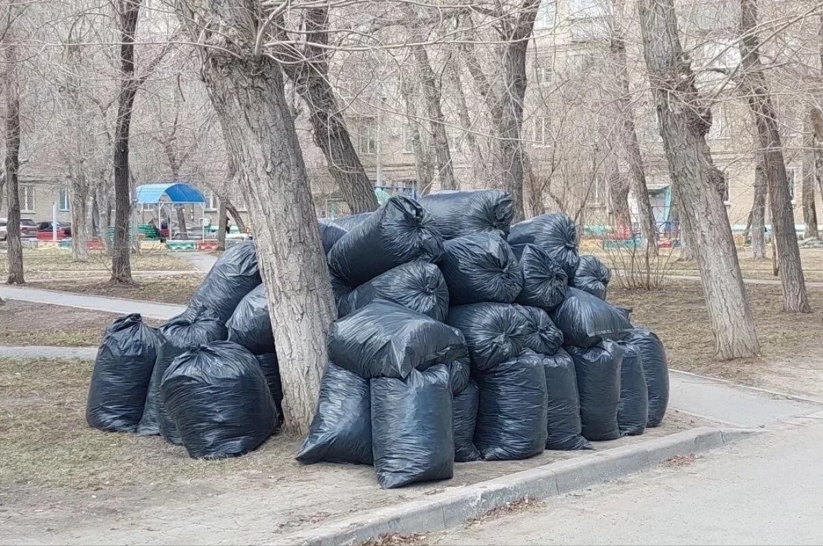    ЦКС разъяснил порядок вывоза мусора после субботника