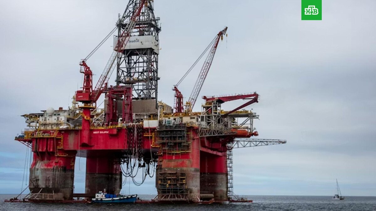    Фото: Grant Durr / unsplash.com