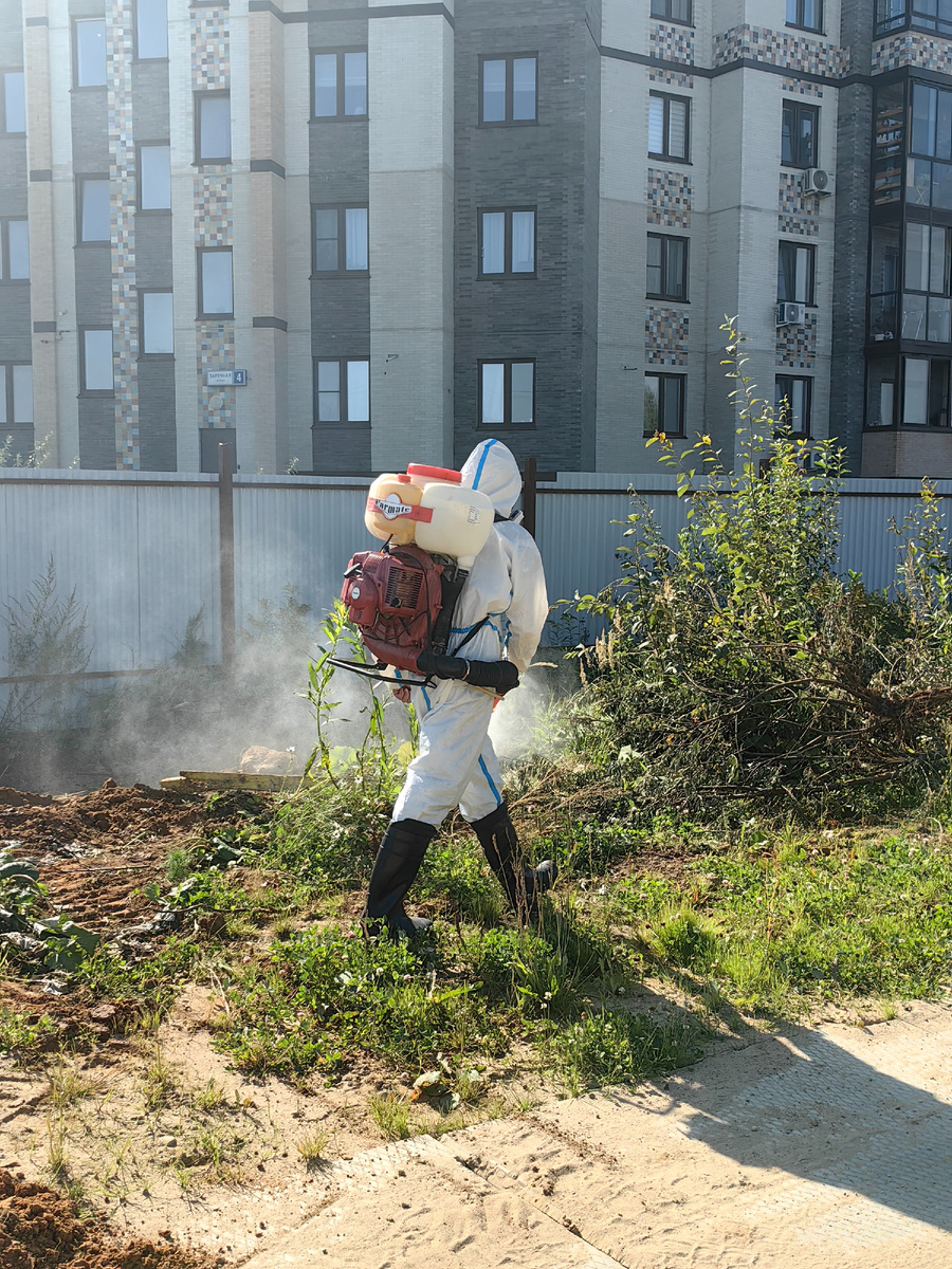 фото из собственного архива