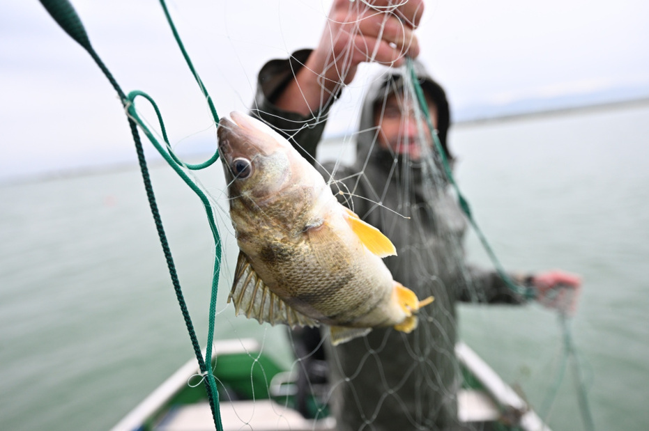    Felix /dpa/Global Look Press