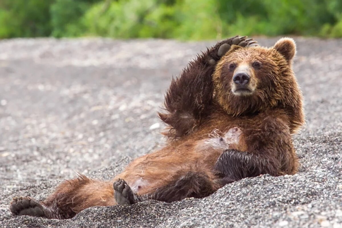    Поза величия и доверия.