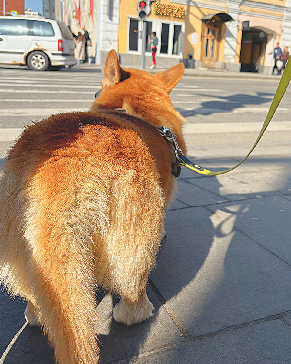 Понедельник он попастый