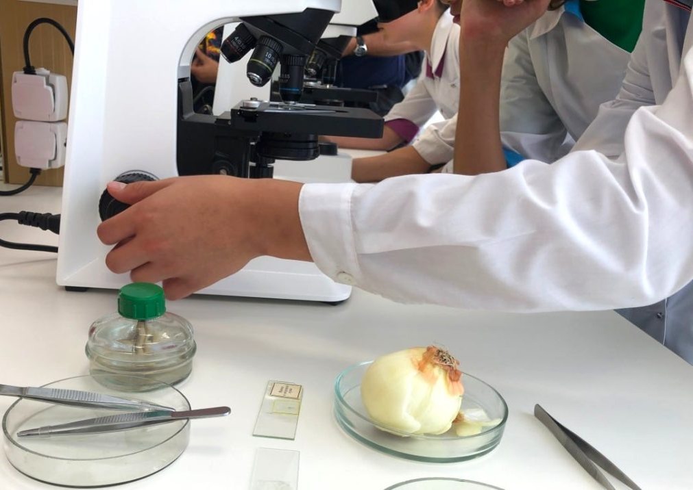    Фото: СвоёТВ Светлана Уварова