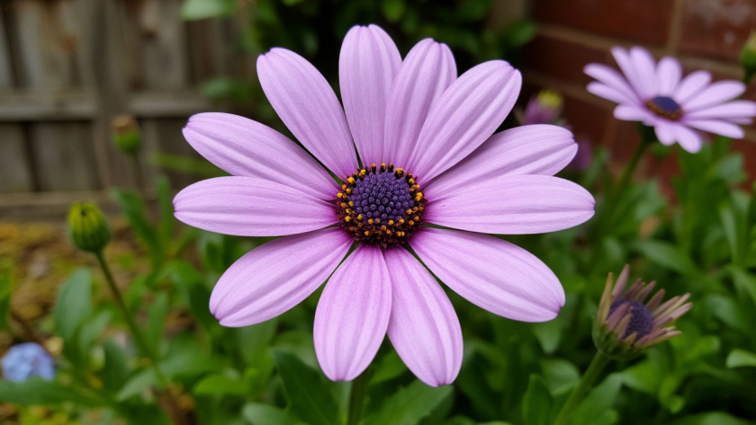    Создано нейросетями