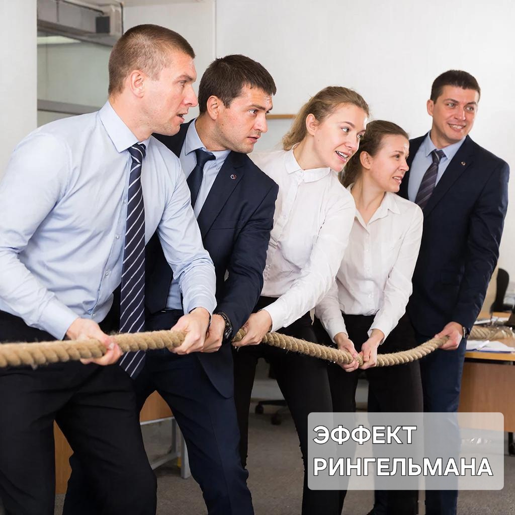 Эффект Рингельмана как фактор, снижающий эффективность больших управленческих групп в системе государственного менеджмента.