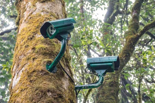    Источник изображения: ItRussia.Media