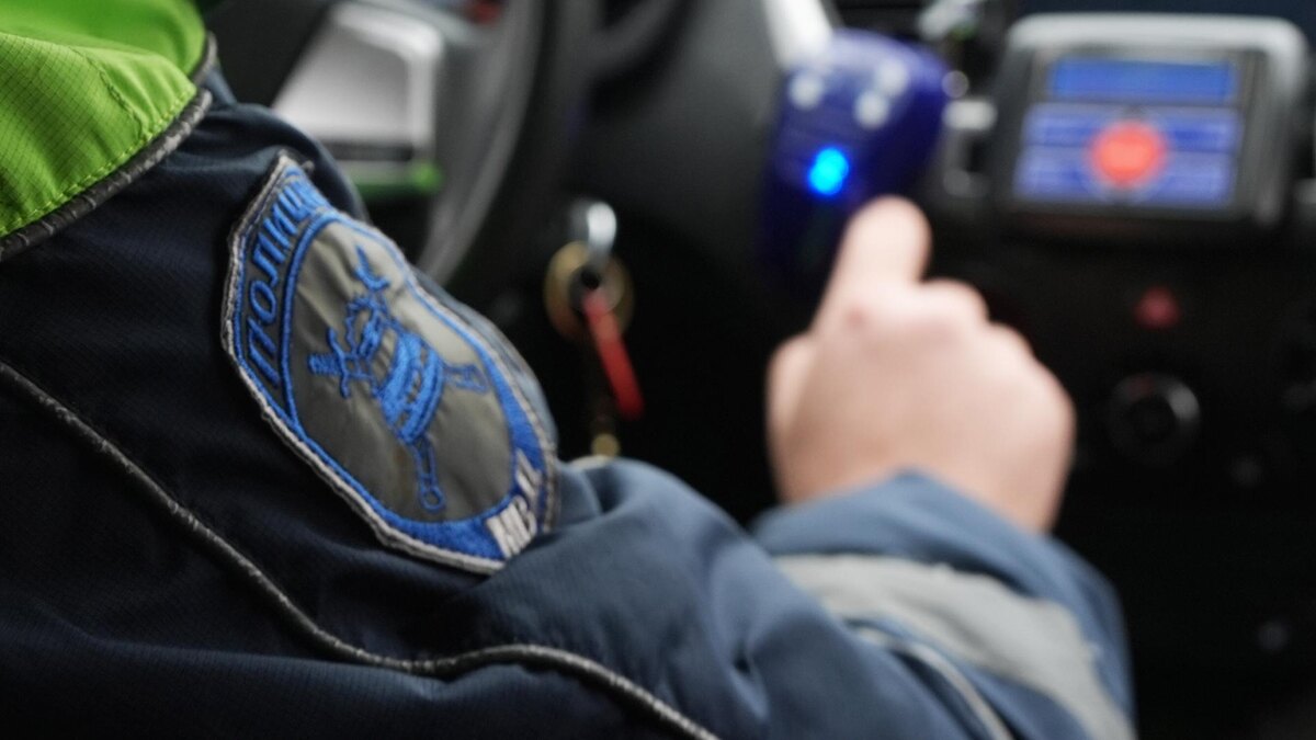    Фото: ИЗВЕСТИЯ/Андрей Эрштрем