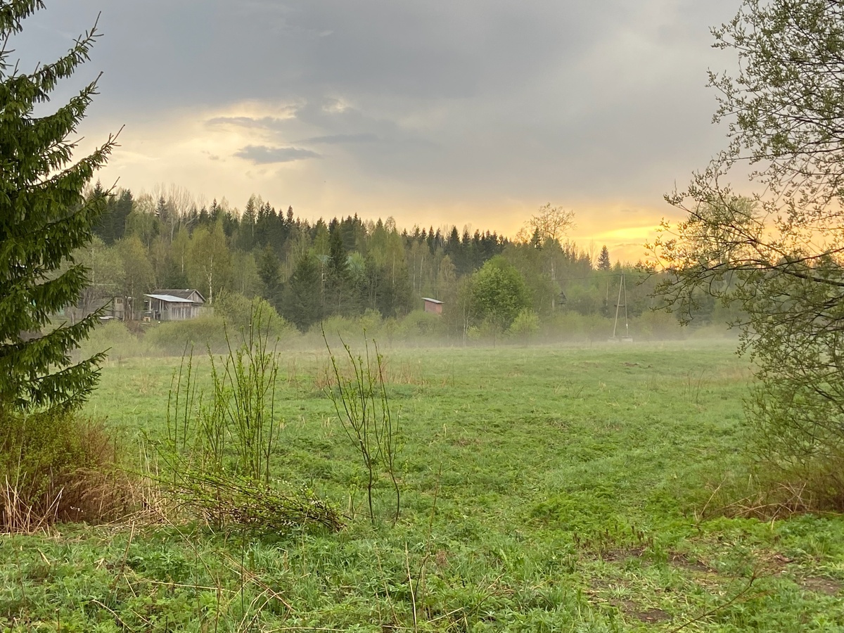    фото: © Мария Голубева