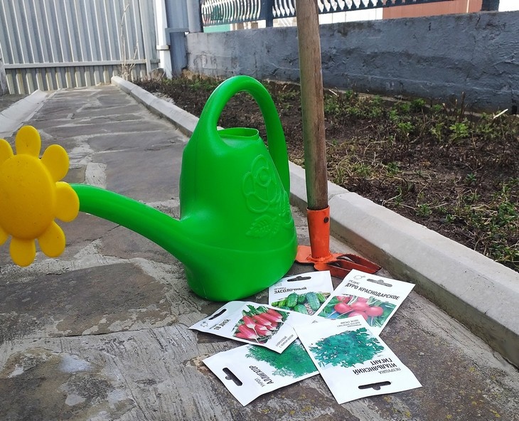    Qпакетики Редакция Газеты