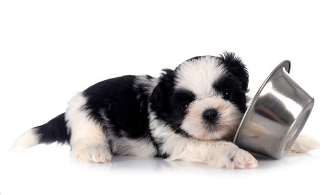 Источник фото shutterstock.com