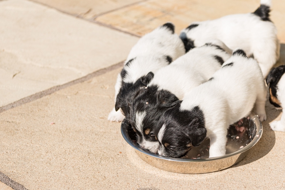 Источник фото shutterstock.com