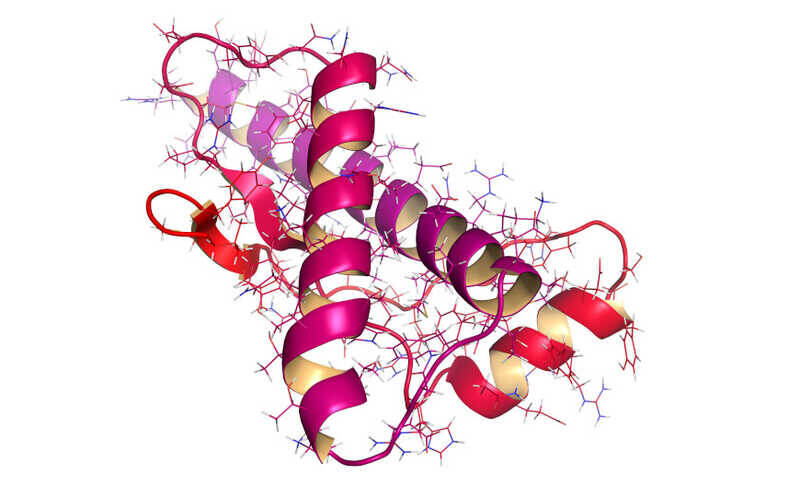 Структура основного прионного белка (PrP).
Credit: 123rf.com