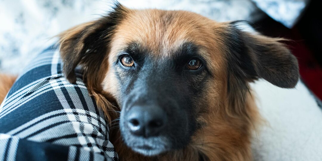 Ей просто не повезло…