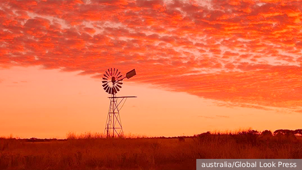     Фото: australia/Global Look Press   
 Текст: Дмитрий Зубарев