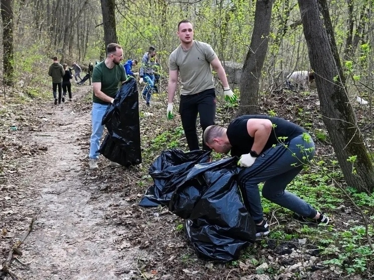     Фото: Владислав Шапша/ТГ