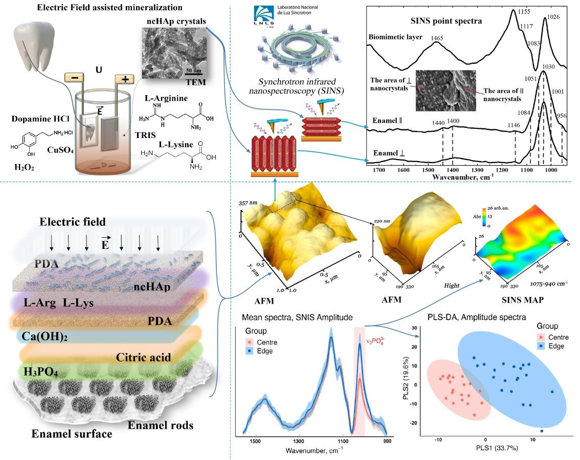    Графическое резюме исследования.