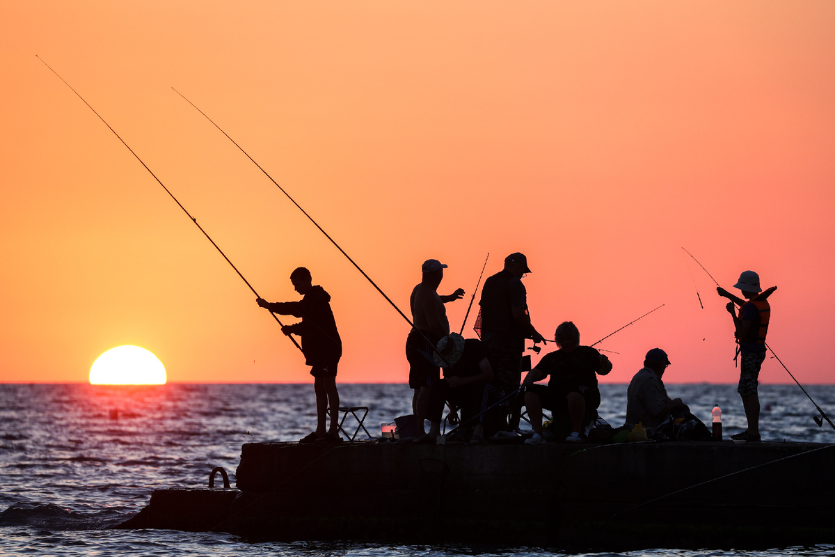 Автор фото: Дмитрий Феоктистов / ТАСС