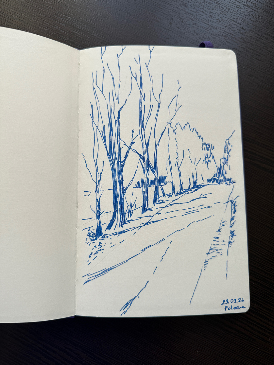 По дороге на Сельцо