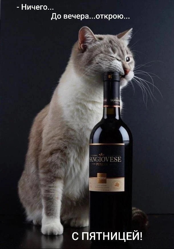 Картинка из интернета. 