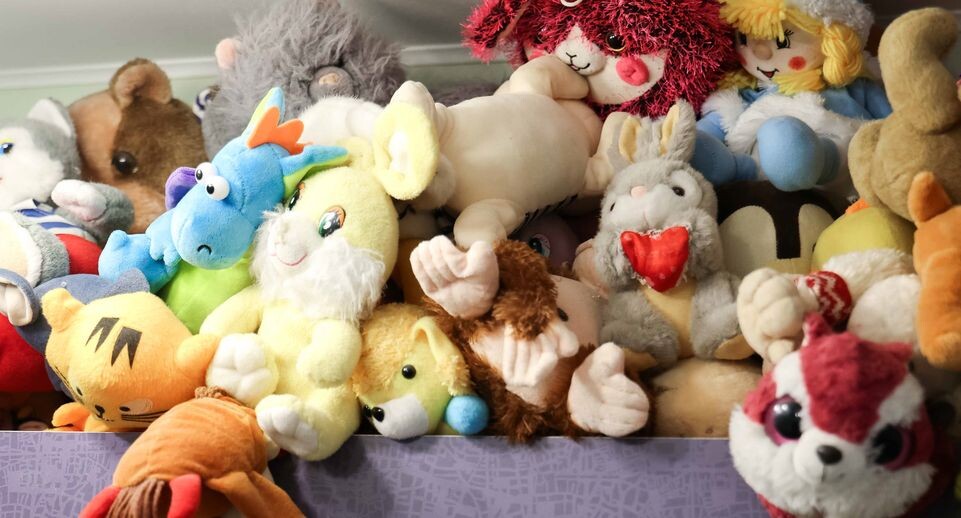    Семейный городок в деревне Райсеменовское г.о. Серпухов / Медиасток.рф