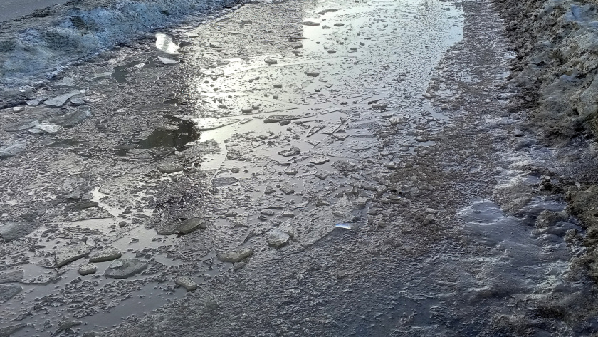    Фото из архива редакции