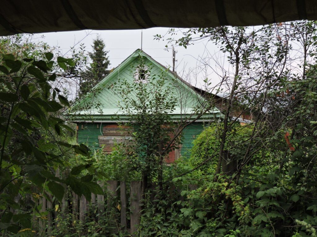    Фото: ИА "Нижний сейчас" Иван Воробьев