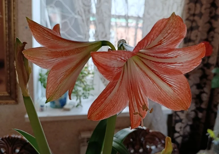 И снова здравствуйте