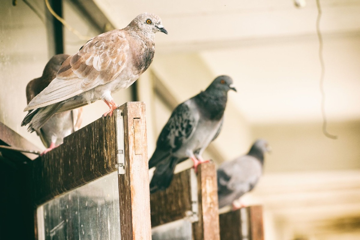    Фото: Istock/tofumax