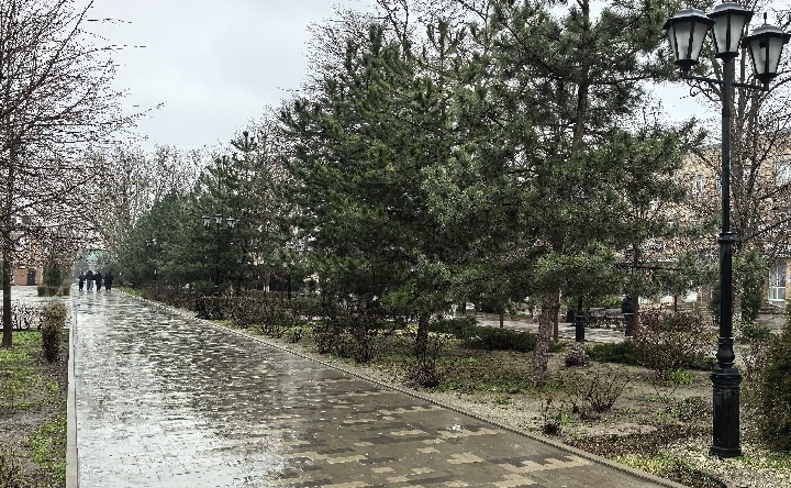 Дождливый Петровский бульвар. Фото Романа Гурина