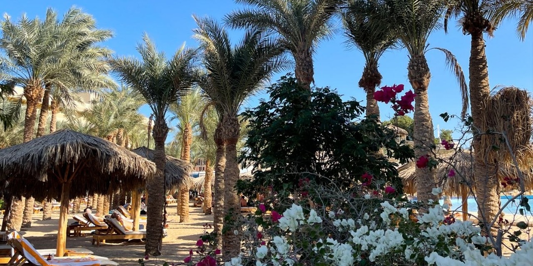 Семейный отдых в Хургаде: обзор бюджетных отелей Sindbad Club 4* и Seagull Beach Resort 4*