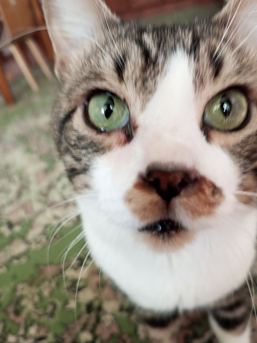 Ах, ты ж МОРС такой!!!